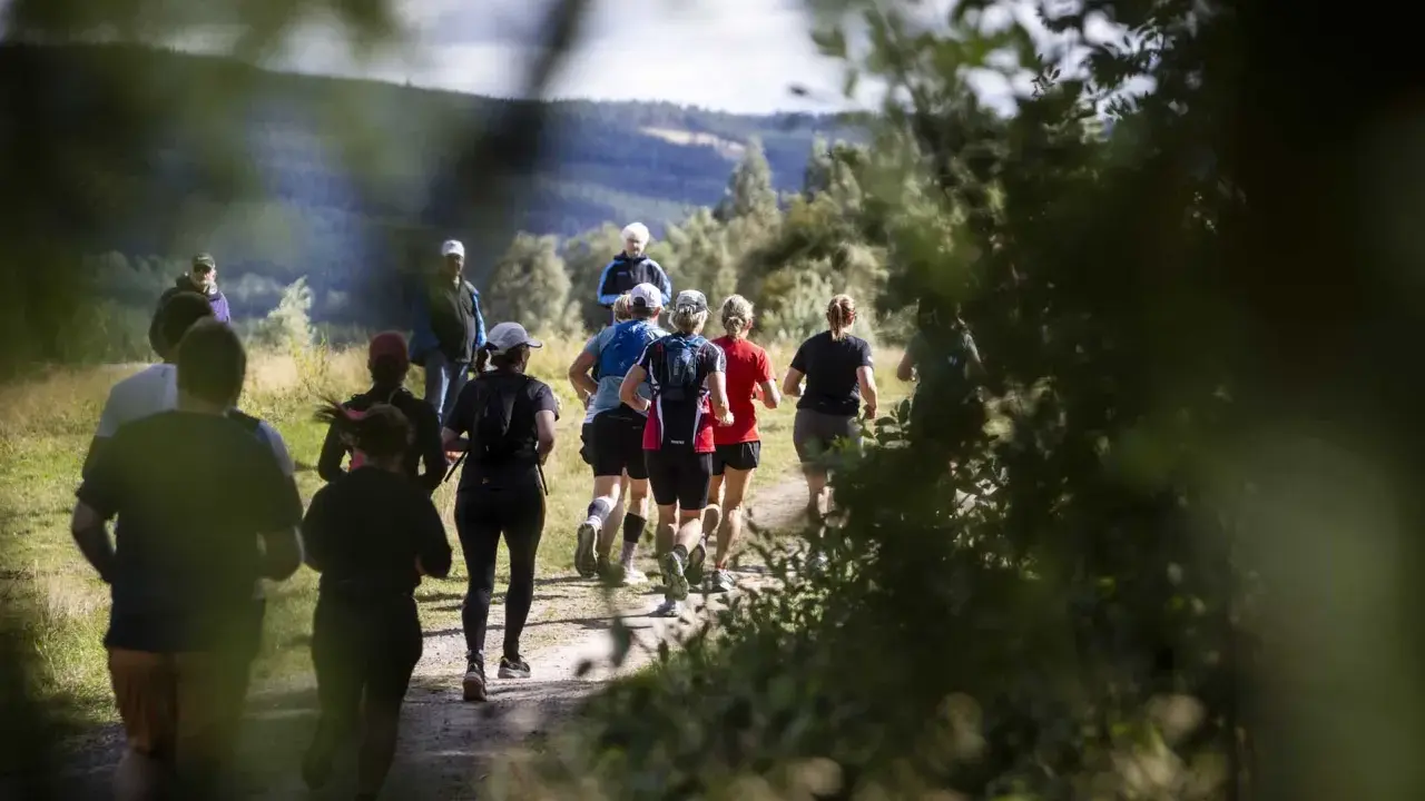 Löpare på en grusväg i skogen, en del av dem deltar i trailvasan 30.