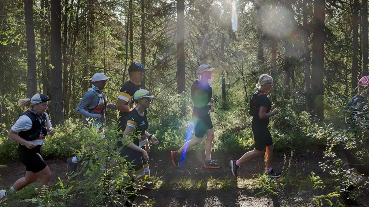 Löpare i skogen under Ultravasan 90. Solen strilar genom träden och lyser upp stigen där deltagarna springer.
