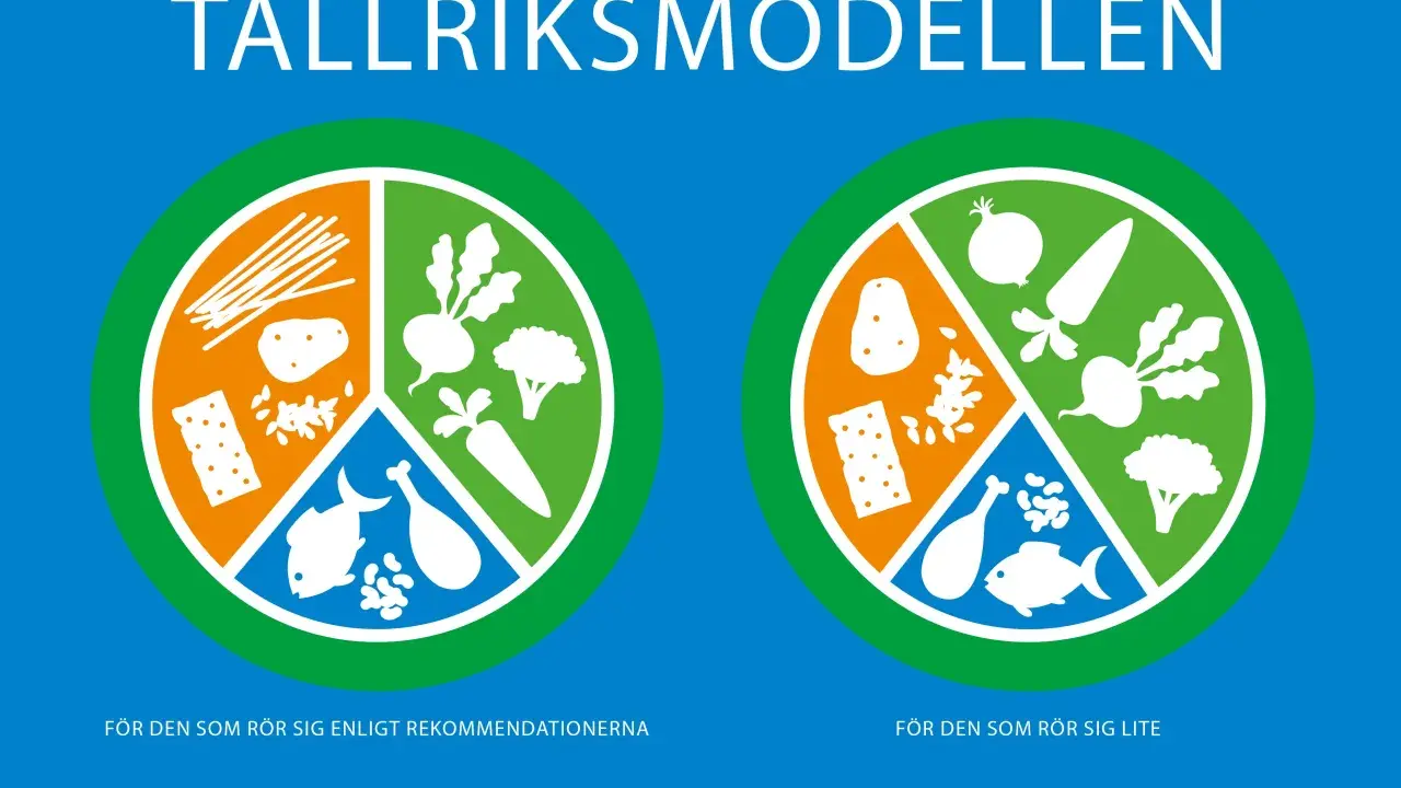 Visar hur tallriksmodellen fungerar för olika aktivitetsnivåer. En tallrik visar hur mycket kolhydrater, grönsaker och protein man bör äta.