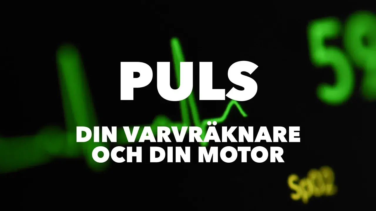Puls 80. Din varvräknare och din motor. En grön EKG-kurva syns i bakgrunden.