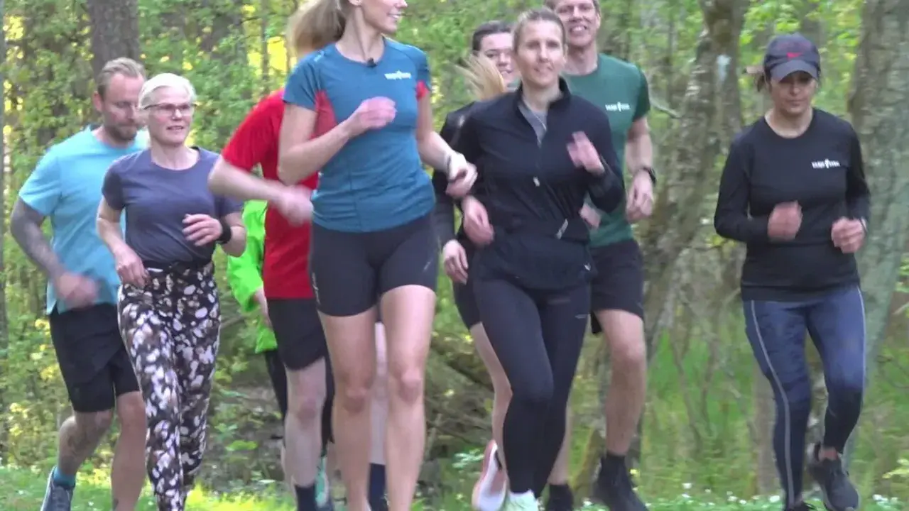 En grupp löpare njuter av en löprunda i skogen, en härlig lopp i Stockholm.
