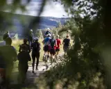Löpare på en grusväg i skogen, en del av dem deltar i trailvasan 30.