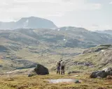 Två vandrare med bamm utrustning står på en bergssluttning med vidsträckt utsikt över fjällandskap.