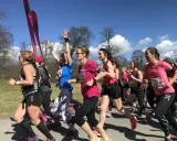 A group of women in running gear race on a sunny day, some with arms raised.
