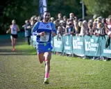Löpare med nummer 15, klädd i blått och med rosa strumpor, springer mot publiken. En annan löpare syns i bakgrunden. Kanske är det en del av sevilla marathon.