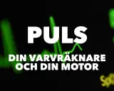 Puls 80. Din varvräknare och din motor. En grön EKG-kurva syns i bakgrunden.