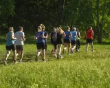 En grupp löpare njuter av roliga intervaller i en grönskande park.