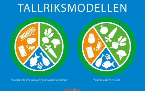 Visar hur tallriksmodellen fungerar för olika aktivitetsnivåer. En tallrik visar hur mycket kolhydrater, grönsaker och protein man bör äta.