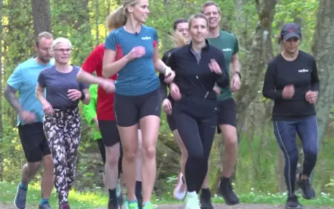 En grupp löpare njuter av en löprunda i skogen, en härlig lopp i Stockholm.