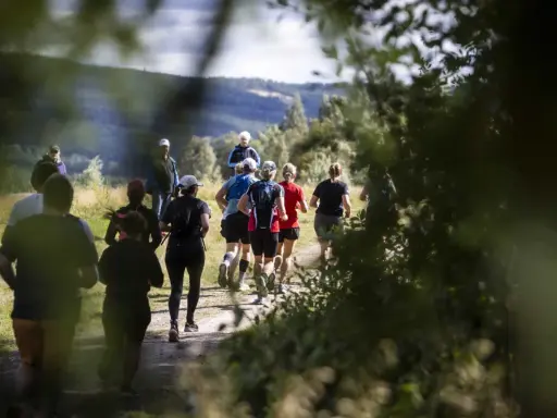 Löpare på en grusväg i skogen, en del av dem deltar i trailvasan 30.