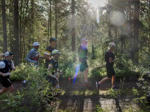Löpare i skogen under Ultravasan 90. Solen strilar genom träden och lyser upp stigen där deltagarna springer.