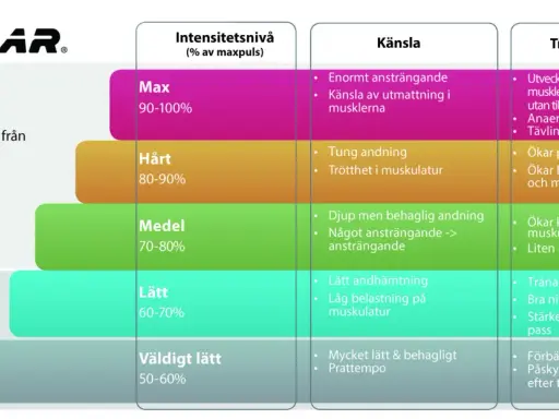 Tabell visar träningsnivåer från Polar. Vid 130 i puls under promenad är det "Lätt" intensitet, bra för fettförbränning.