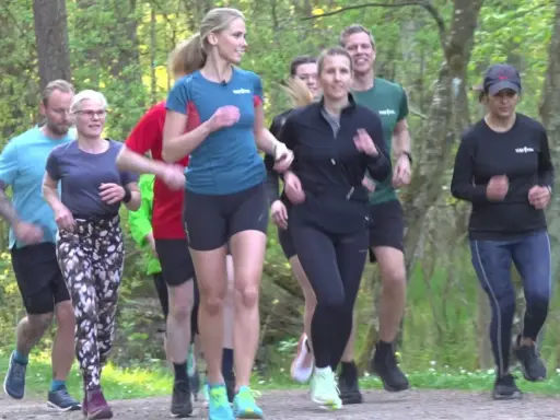 En grupp löpare njuter av en löprunda i skogen, en härlig lopp i Stockholm.