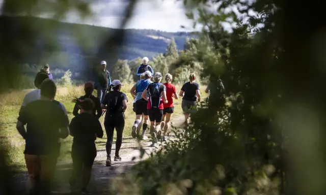 Löpare på en grusväg i skogen, en del av dem deltar i trailvasan 30.