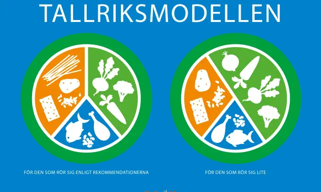 Visar hur tallriksmodellen fungerar för olika aktivitetsnivåer. En tallrik visar hur mycket kolhydrater, grönsaker och protein man bör äta.
