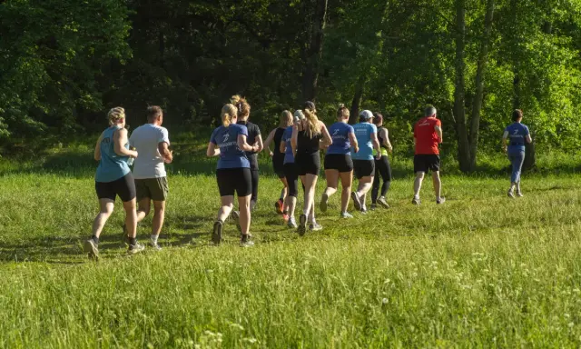 En grupp löpare njuter av roliga intervaller i en grönskande park.