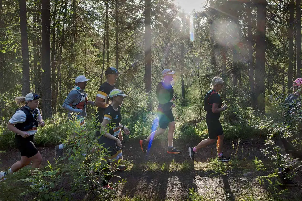 Löpare i skogen under Ultravasan 90. Solen strilar genom träden och lyser upp stigen där deltagarna springer.