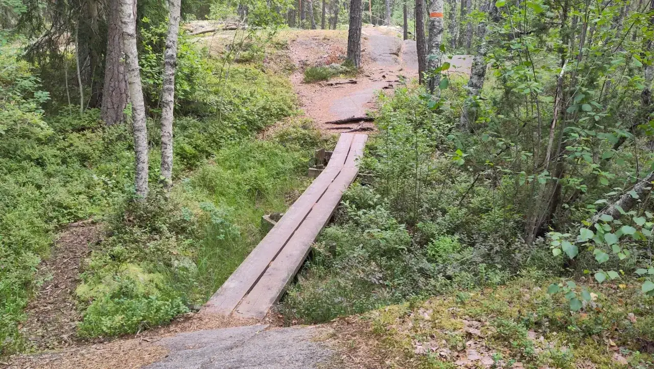 En träbro leder över en liten bäck i en lummig skog. Stigen fortsätter uppför en kulle, perfekt för the run Uppsala.