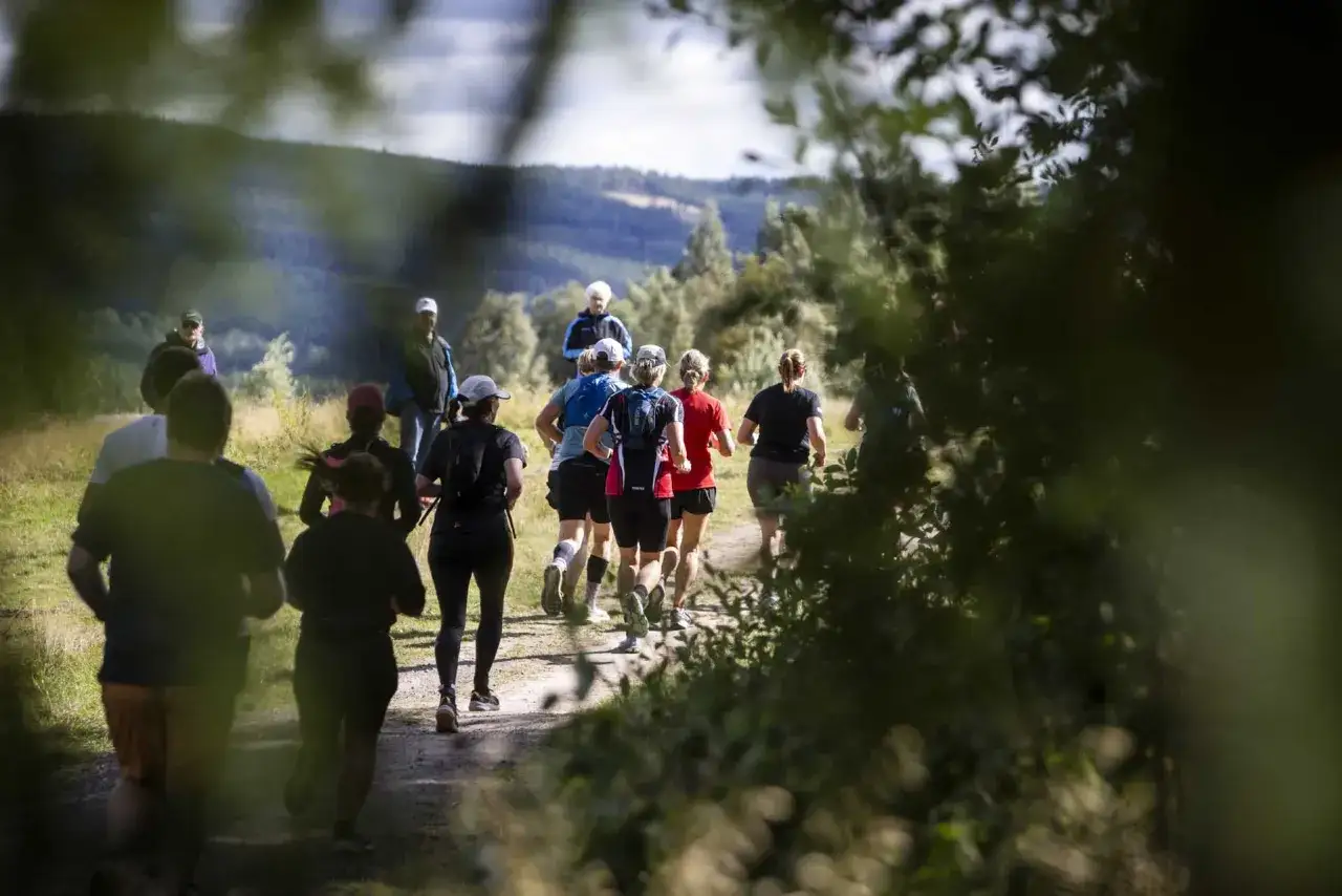 L&ouml;pare p&aring; en grusv&auml;g i skogen, en del av dem deltar i trailvasan 30.
