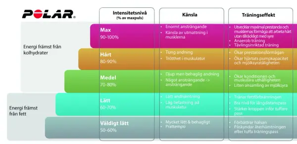 Tabell visar träningsnivåer från Polar. Vid 130 i puls under promenad är det "Lätt" intensitet, bra för fettförbränning.